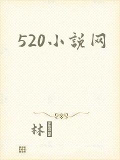 520小说网