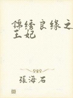 锦绣良缘之北地王妃