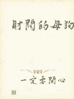 财阀的母狗们