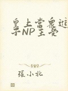 皇上当众进入太子NP主受