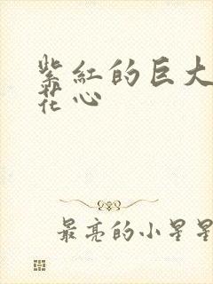 紫红的巨大顶开花心