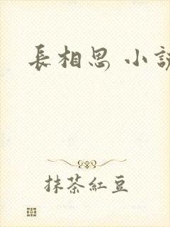 长相思 小说