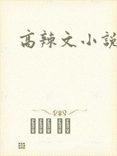 高辣文小说