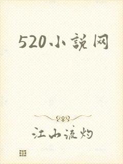 520小说网