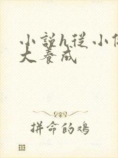 小说h从小做到大养成