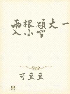 两根硕大一起挤入小雪