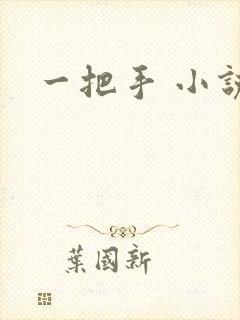 一把手 小说