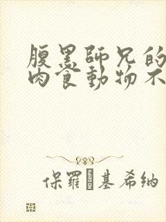 腹黑师兄的日常肉食动物不食草封面