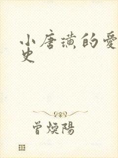 小唐璜的爱情历史