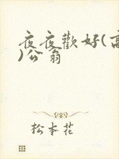 夜夜欢好(高h)公翁