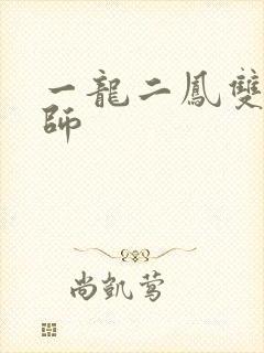 一龙二凤双飞老师