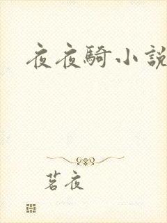 夜夜骑小说
