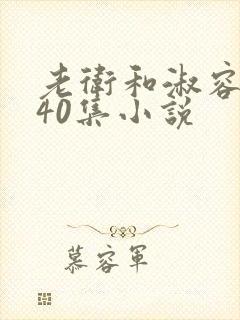 老卫和淑容1-40集小说