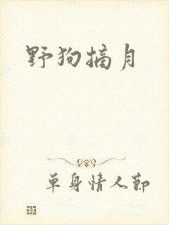 野狗摘月