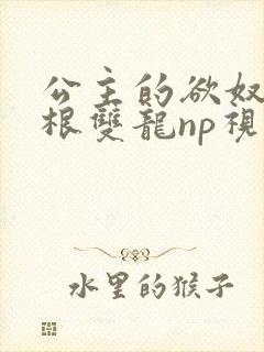 公主的欲奴h四根双龙np视频