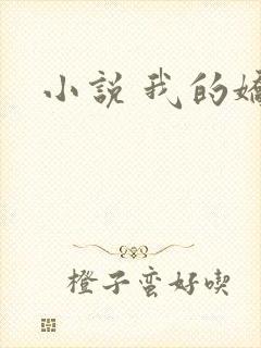 小说 我的娇妻