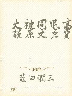 大被同眠高粱小说原文免费阅读