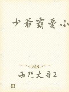 少爷霸爱小丫头