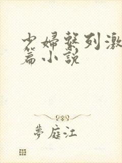 少妇系列激情短篇小说