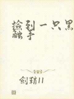 捡到一只黑心小触手