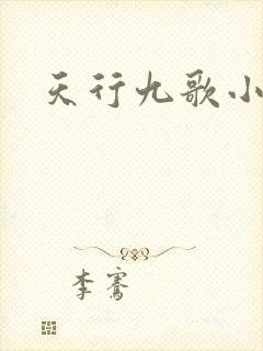 天行九歌小说