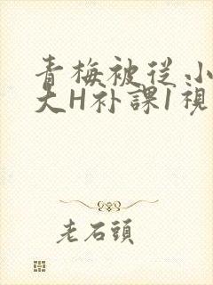 青梅被从小摸到大H补课1视频