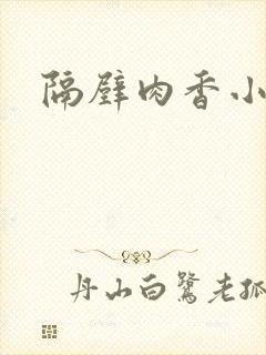 隔壁肉香小说