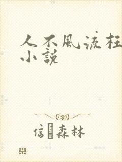 人不风流枉少年小说