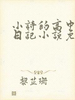 小诗的高中成长日记小说免费阅读