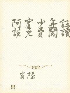 阿宾少年钰慧小说免费阅读笔趣阁封面