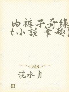 内裤子奇缘txt小说 笔趣阁