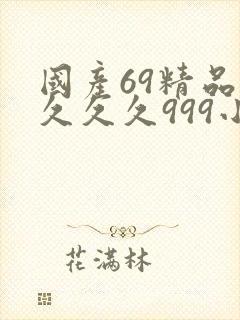 国产69精品久久久久999小说