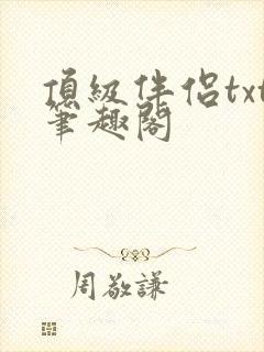 顶级伴侣txt笔趣阁