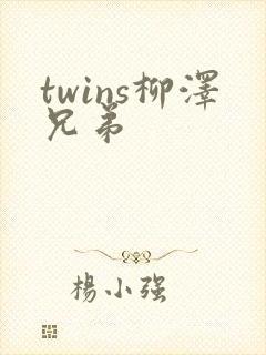 twins柳泽兄弟