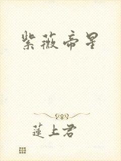 紫薇帝星