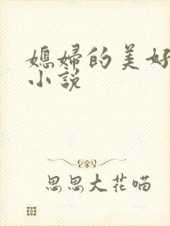 媳妇的美好时代小说