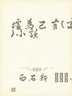 据为己有(高干)小说