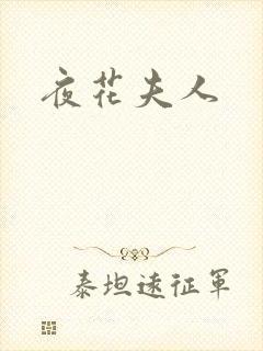 夜花夫人