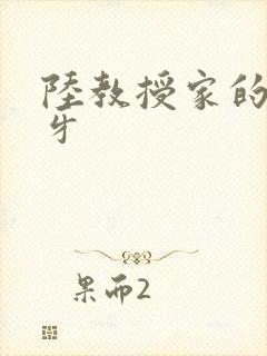 陆教授家的小月牙