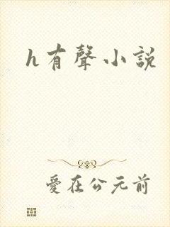 h有声小说
