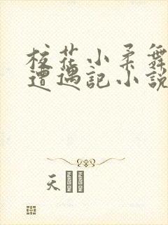 校花小柔舞蹈室遭遇记小说