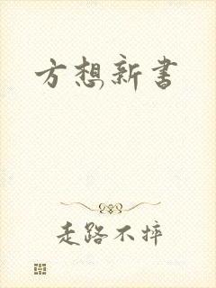 方想新书