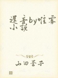 迟音by唯雾的小说