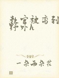 教官被脔到高潮野外h