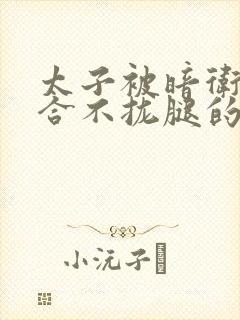 《太子被暗卫c到合不拢腿的后果》小说封面