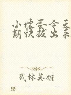 小坏蛋今天危险期快拔出来