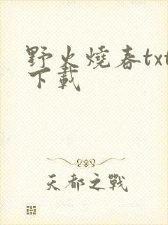 野火烧春txt下载