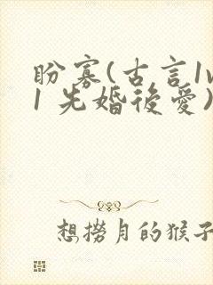 盼寡(古言1v1 先婚后爱)荔枝好多