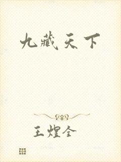 九藏天下