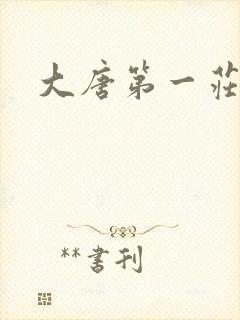 大唐第一庄